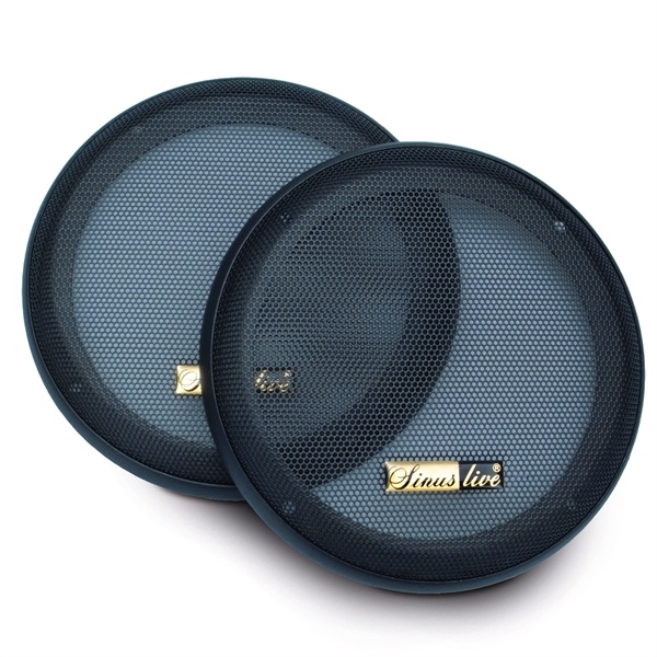 SINUS LIVE G 13I 13CM GITTER