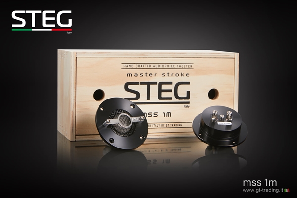 STEG MSS1M MASTER STROKE MAGNESIUM DISKANTER