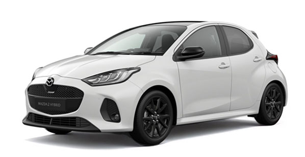 2 HYBRID (XP210)(2022 >)