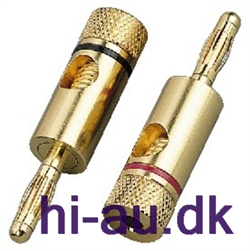 CARPOWER BANANSTIK GULD