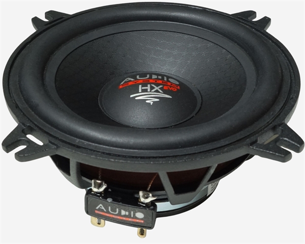 AUDIO SYSTEM EX 100 DUST EVO3 HIGH-END