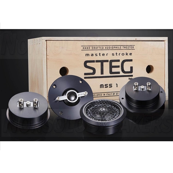 STEG MSS1 MASTER STROKE GRAFIT DISKANTER