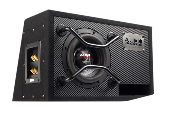 AUDIO SYSTEM X 06 EVO