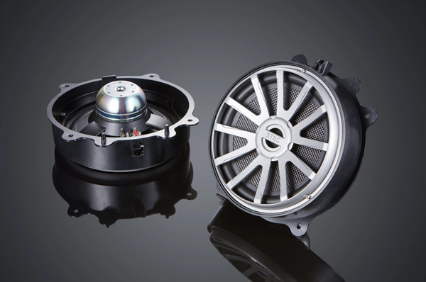 STEG MT8 TESLA 8" BASSER PLUG AND PLAY UPGRADE