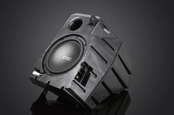 STEG TESLA MT9 8" SUBWOOFER