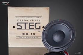 STEG MASTERSTROKE SS-10 HIGH END SUBWOOFER 10"
