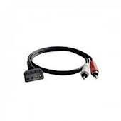 PHOENIX GOLD HIGH TO LOW