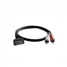 PHOENIX GOLD HIGH TO LOW